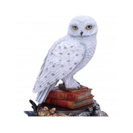 Figura Hedwig Harry Potter 22 cm