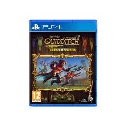 Harry Potter Campeones de Quidditch Deluxe