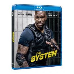 The system - BD