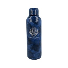 Botella de agua reutilizable térmica de acero inoxidable con doble aislamiento de 515 ml de Harry Potter