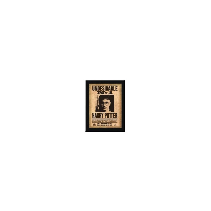 Replica Placa Undesirable N°1 Harry Potter