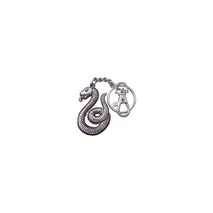 LLavero Slyherin Harry Potter