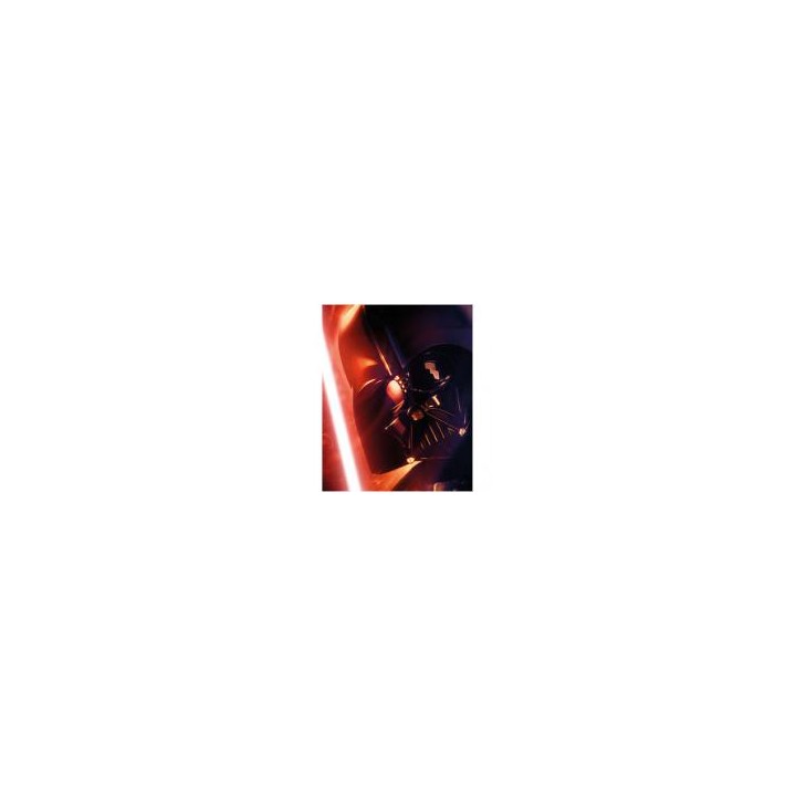 Star Wars - Cuadro - Photo Illuminated Canvases Darth Vader Smal