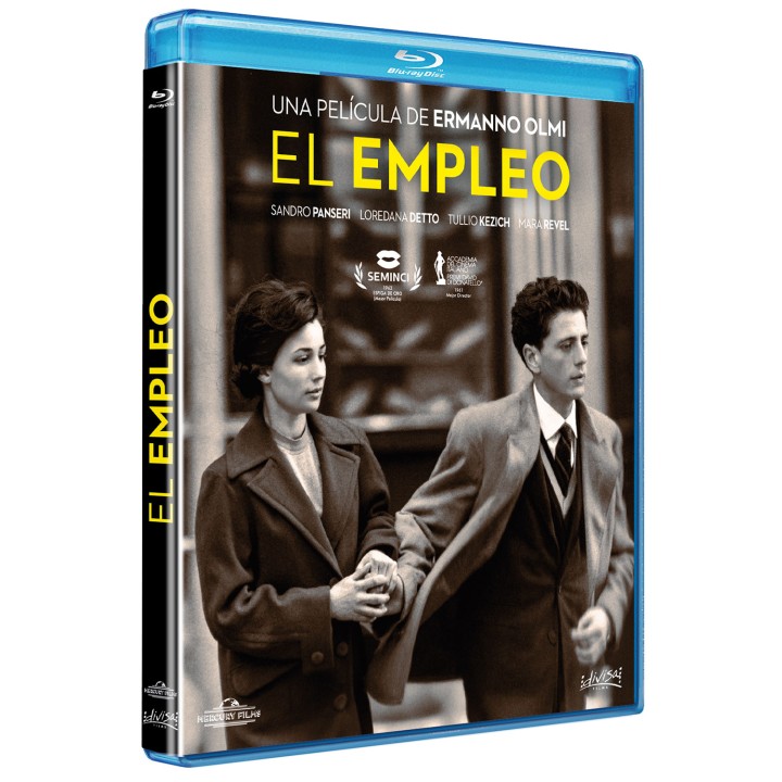 El empleo - BD