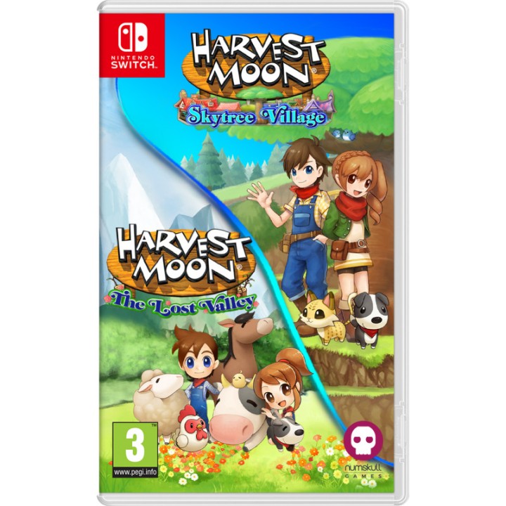 Harvest moon: lost valley & s.village