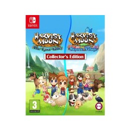 Harvest moon:l.valley & s.village col