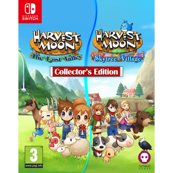 Harvest moon:l.valley & s.village col