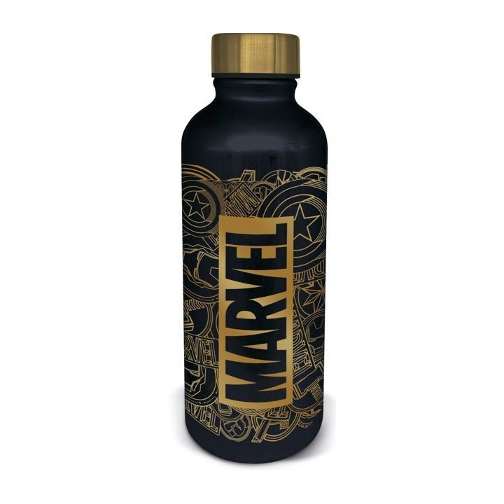Botella de acero inoxidable Harry Potter 780 ml Magic & Mayhem