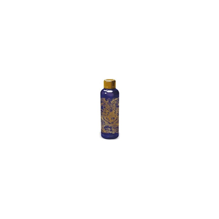 Botella termo acero inoxidable Harry Potter 515 ml Magic & Mayhem