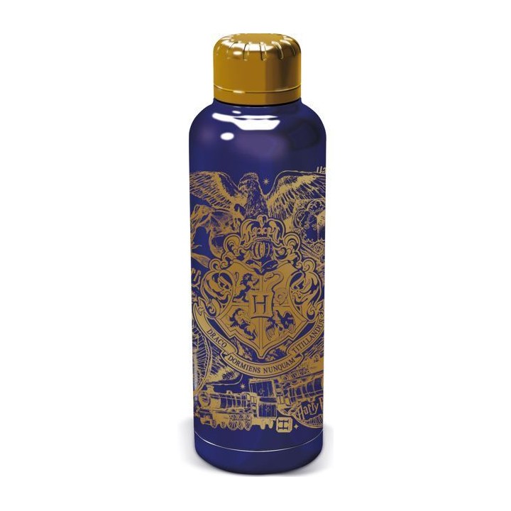 Botella termo acero inoxidable Harry Potter 515 ml Magic & Mayhem
