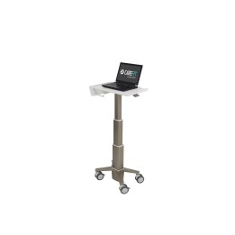 Ergotron C50-1100-0 soporte para ordenador portátil Gris 39,6 cm (15.6")
