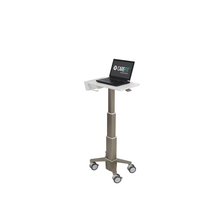 Ergotron C50-1100-0 soporte para ordenador portátil Gris 39,6 cm (15.6")