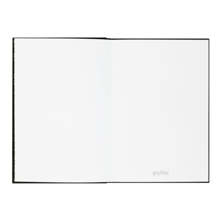 Cuaderno A5 premium led + boligrafo Lumos Harry Potter