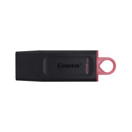 Pendrive Kingston Data Traveller Exodia 256GB USB3.2 Negro