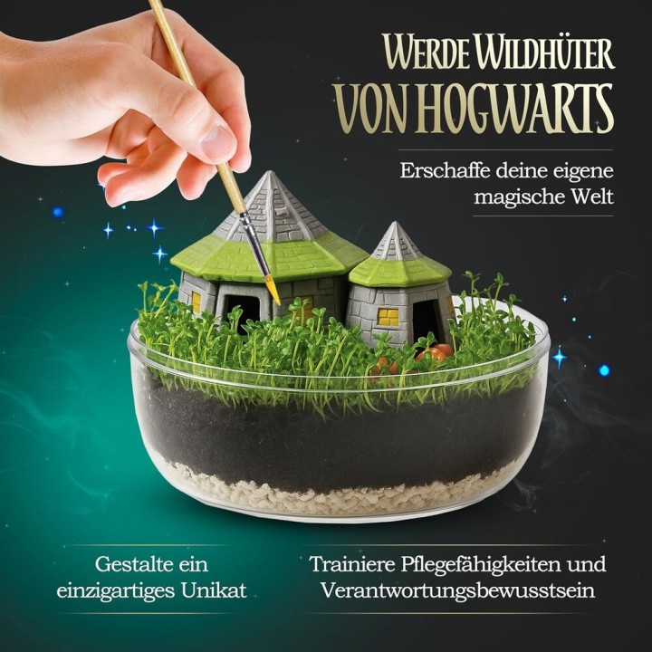 Terrarium Harry Potter
