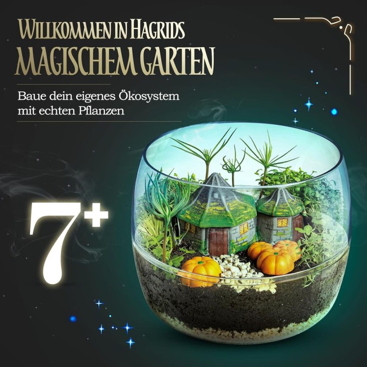 Terrarium Harry Potter