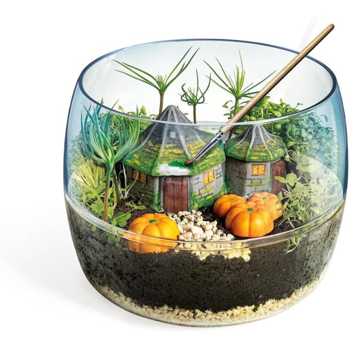 Terrarium Harry Potter