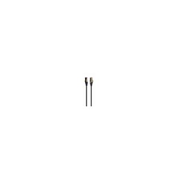 Gembird PP8-LSZHCU-BK-0.25M cable de red Negro 0,25 m Cat8 S/FTP (S-STP)