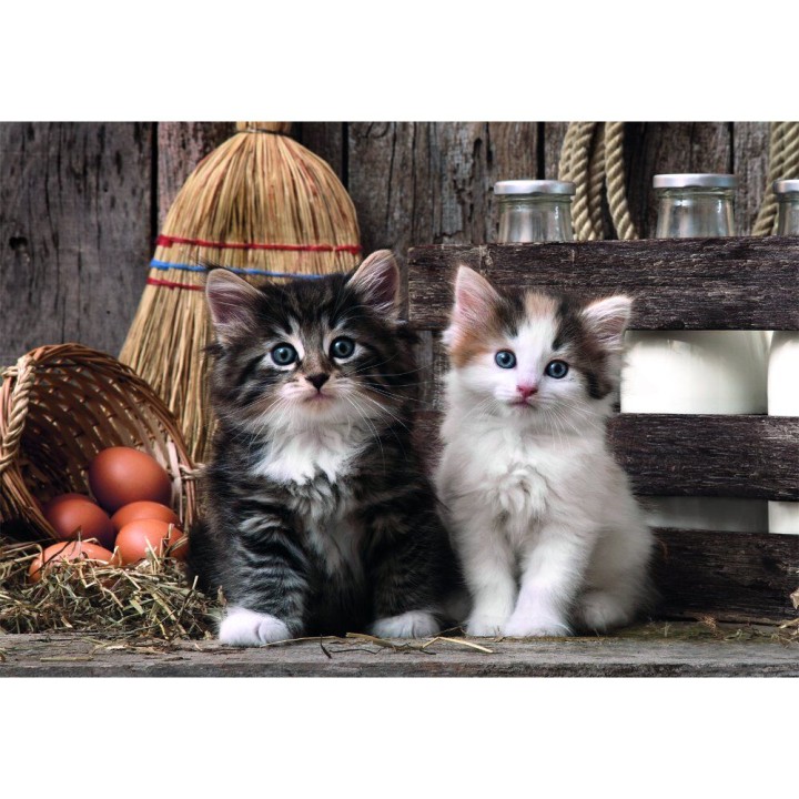 Puzzle Lovely Kittens High Quality 1000pzs