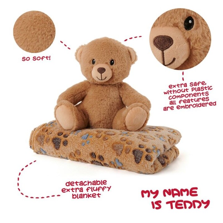 Peluche + manta suave Oso Teddy 22cm
