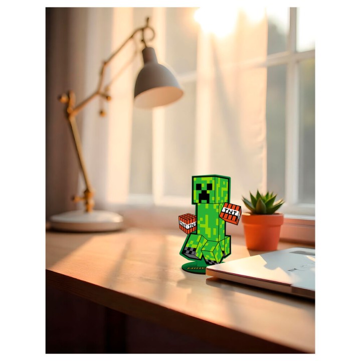 Set colorear Minecraft