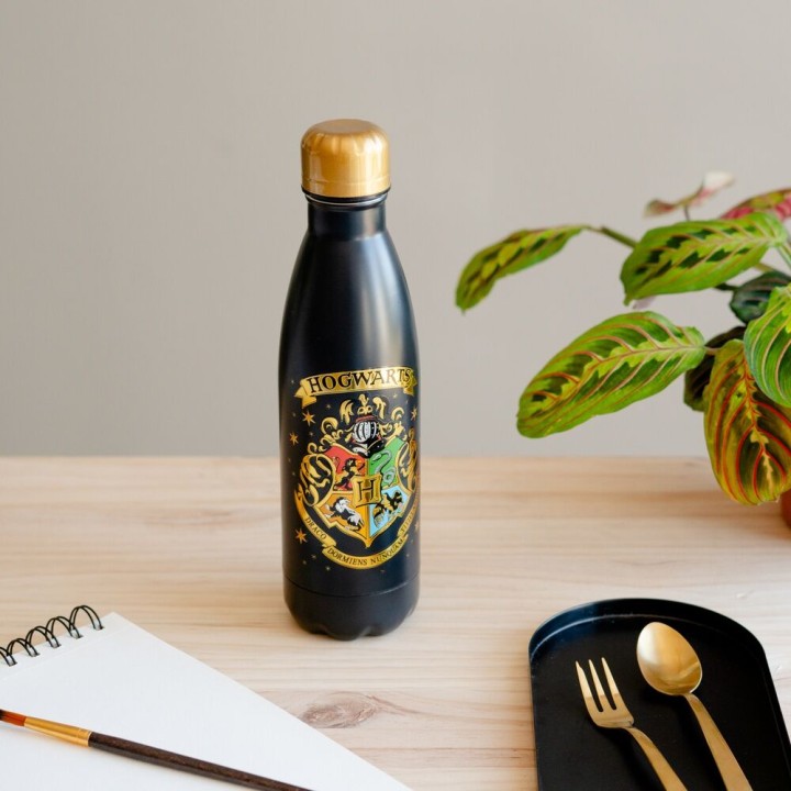 Botella acero inoxidable Hogwarts Harry Potter 500ml
