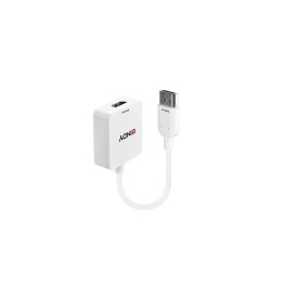Lindy 38146 adaptador de cable de vÍ­deo HDMI tipo A (Estándar) DisplayPort Blanco