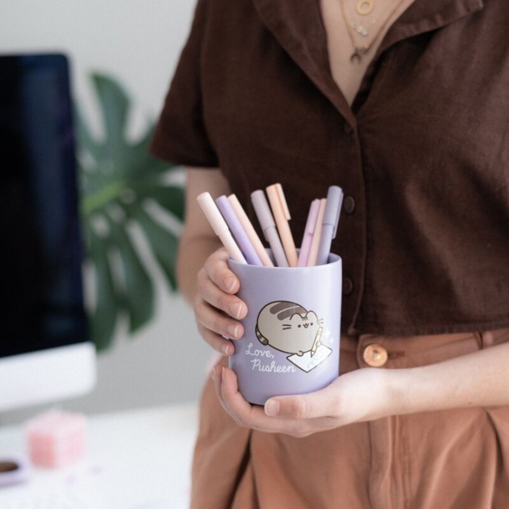 Portalapices Moments Pusheen