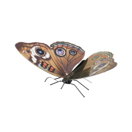 Metal Earth Buckeye