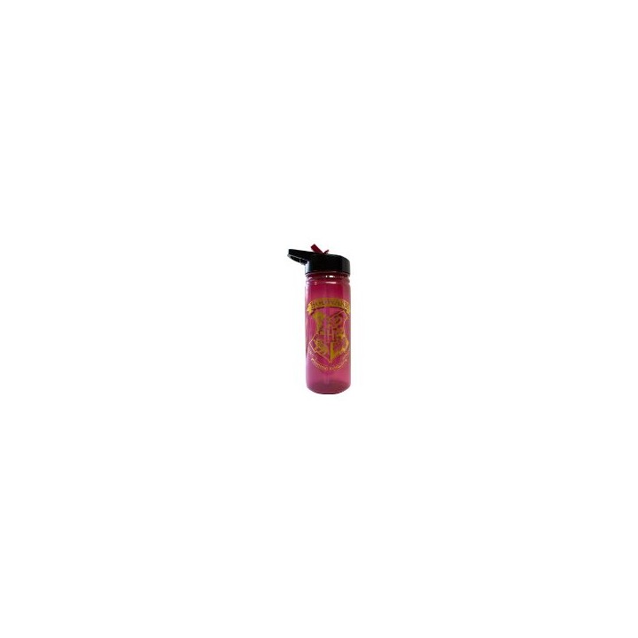 Botella Plástico Burgandy Harry Potter (HP91553)