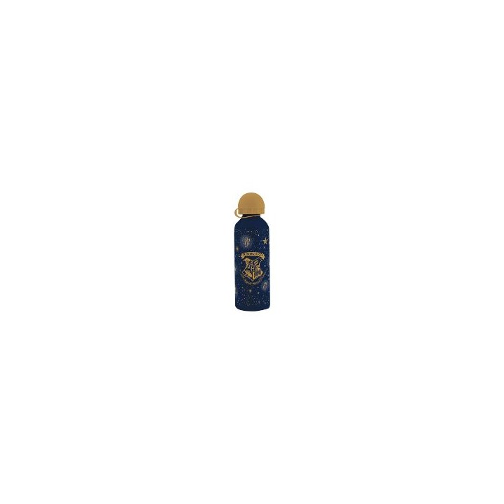 Botella KIDS LICENSING Harry Potter (HP0001)