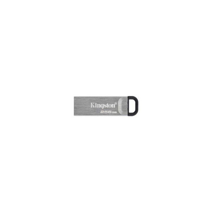 Pendrive Kingston 256Gb USB-A 3.0 Plata (DTKN/256GB)