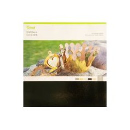 Cartulina CRICUT Efecto Foil 30x30cm 30U (CRC-2005490)