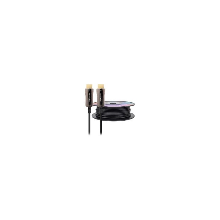 Nanocable HDMI A/M a HDMI A/M 100m Negro (10.15.2199)