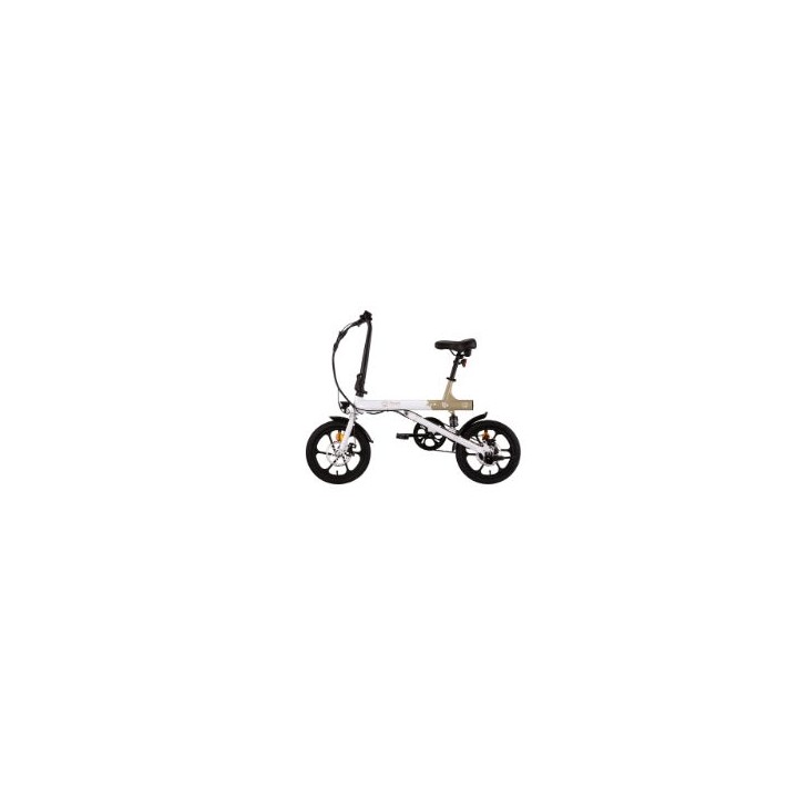 Bicicleta Eléctrica Youin Río 16" 250W 25km/h (BK0500)