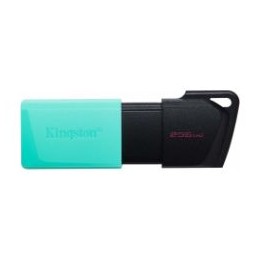 Pendrive Kingston 256Gb USB-A Neg/Turquesa (DTXM/256GB)