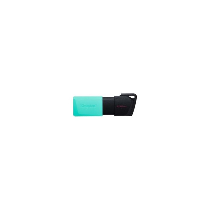 Pendrive Kingston 256Gb USB-A Neg/Turquesa (DTXM/256GB)