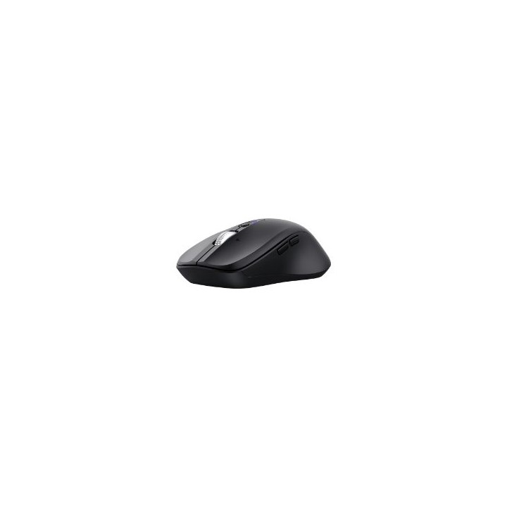 Ratón Trust Ferro RF Wireless BT 3200dpi Negro (25673)