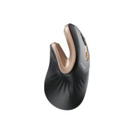 Ratón Vertical ProtoArc EM11 NL Negro/Dorado (CP016806)