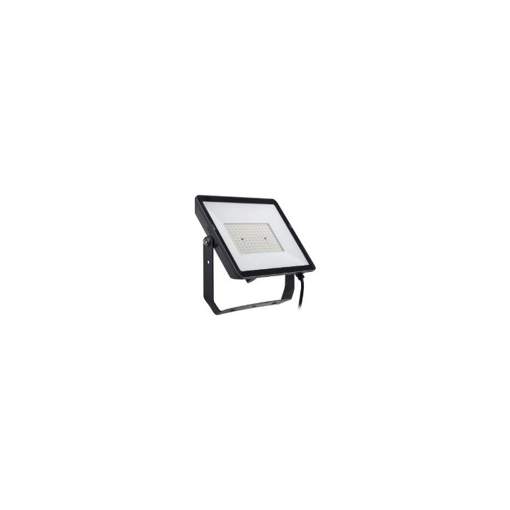 Foco Philips ProjectLine LED 100W 9500L (911401864584)