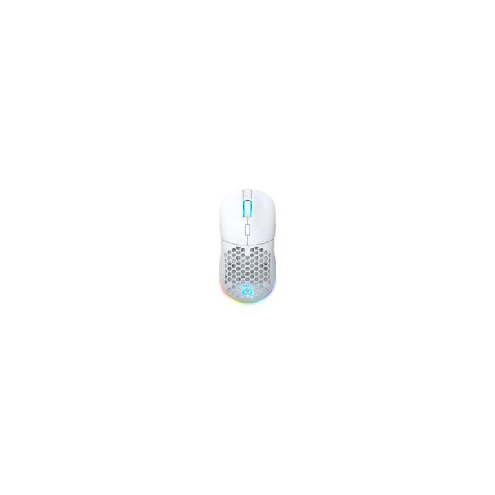 Ratón Newskill Arakne USB-C RGB (NS-MS-ARAKNE-ELITE-IV)