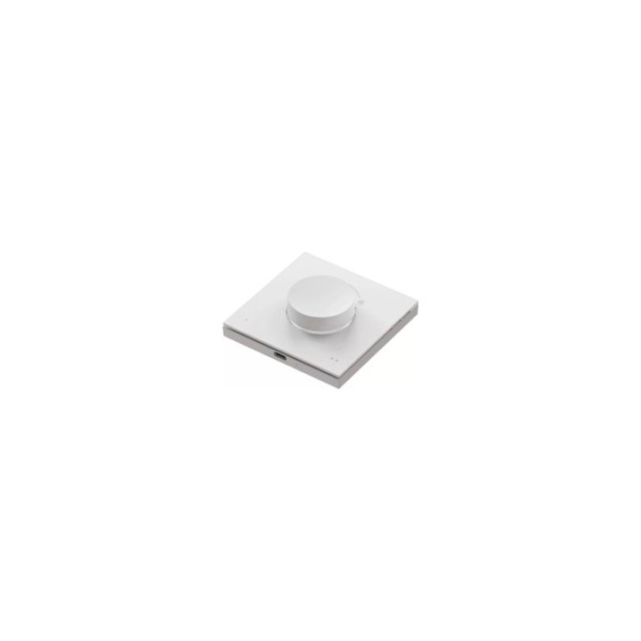 Interruptor Giratorio Philips WIZ Wifi (929003792301)