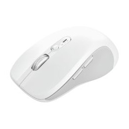 Ratón Trust Ferro RF Wireless BT 3200dp Blanco (025674)