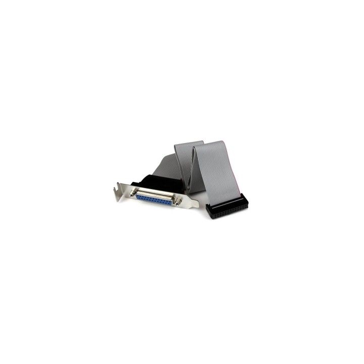 StarTech.com Adaptador de 40cm Header Cabezal Bracket Paralelo Perfil Bajo DB25 a IDC26 Pines Placa Base