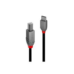 Lindy 36941 cable USB USB 2.0 1 m USB C USB B Negro
