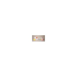 Zebra DT Label Etiqueta 51x25mm