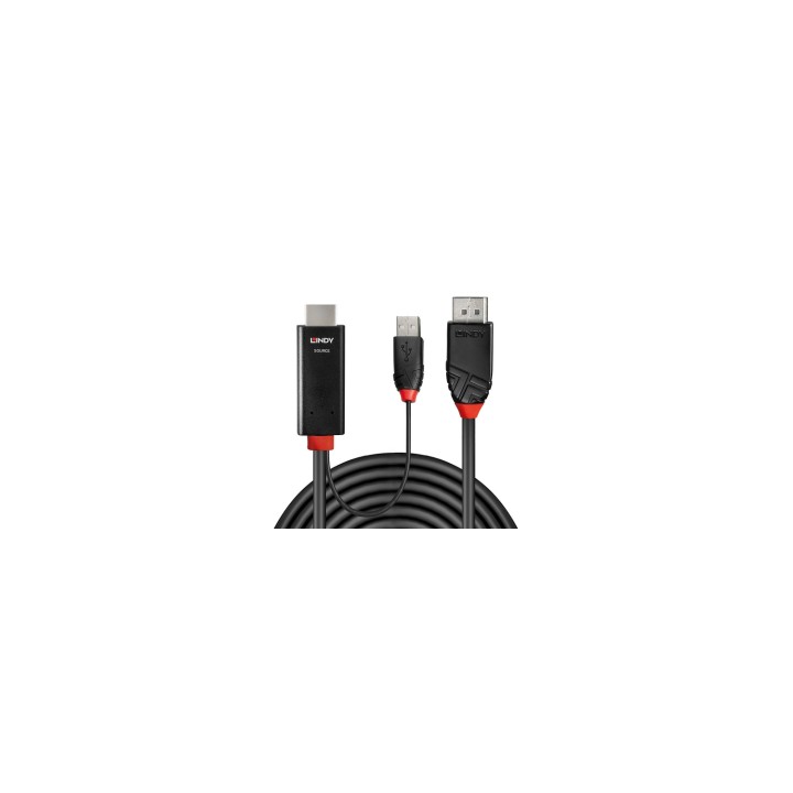 Lindy 41500 adaptador de cable de vÍ­deo 3 m HDMI + USB Type-A DisplayPort Negro