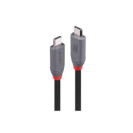 Lindy 36958 cable USB USB4 Gen 3x2 2 m USB C 40 Gbit/s 240 W Negro