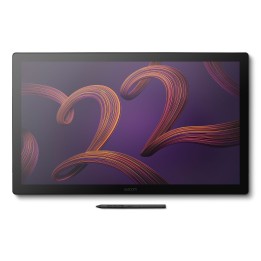 Wacom Cintiq Pro 22 tableta digitalizadora Negro 476 x 268 mm USB
