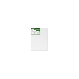 Daler Rowney Simply Bastidor Entelado 18x24cm - Imprimacion Triple - Grano Medio - 100% Algodon sin Acido - 250g